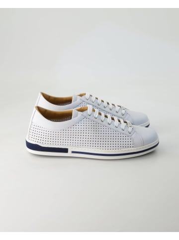 Sneaker low in Weiß