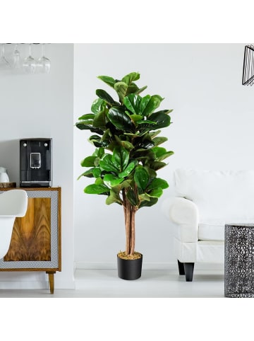 Feigenbaum 120cm in Grün