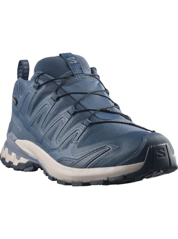 Trailrunning-Schuh XA PRO 3D V9 GTX in spellbound/grisaille/maritime blue