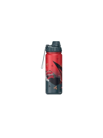 Step by Step Isolierte Edelstahl-Trinkflasche "Warrior"