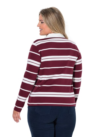 Poloshirt in weinrot