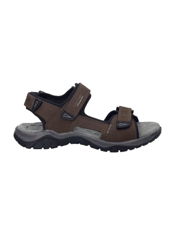 Trekkingsandalen in Braun