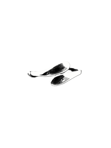 Ring aus Silber 925 für Damen in Silber