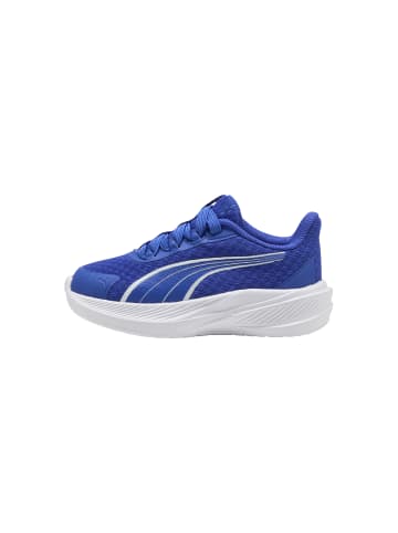 Dasher Sliptech Inf – Low-Top-Sneaker mit Schnürung für Kinder Royal