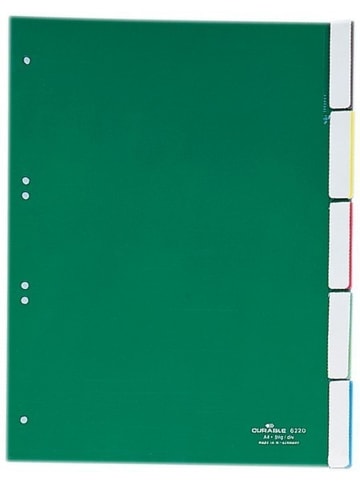 Register A4 blanko 5-teilig grün