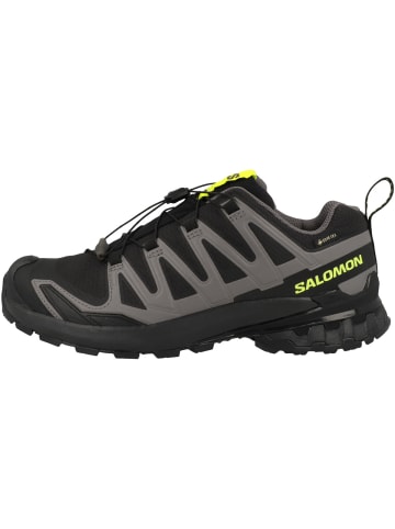 Laufschuhe XA PRO 3D V9 GTX in dunkelgrau