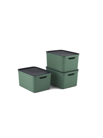 3er- Set Aufbewahrungskorb 16l mit Deckel in Sea Spray green ged.