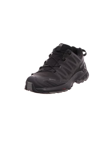 Outdoorschuhe XA PRO 3D V9 GTX in black/phantom/pewter