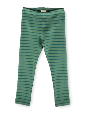 Leggings in grün