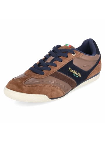 Low Sneaker ALBA LIRI in braun