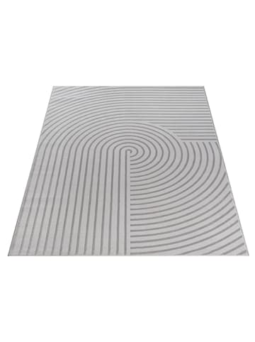 Moderner Teppich Soft-Touch Flor C in Grau