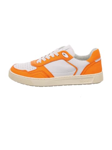 Sneaker Low in Weiß