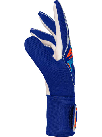 Torwarthandschuhe Attrakt Starter Solid in 4126 sharp blu/wht/shock orng
