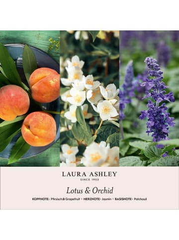 Laura Ashley Duftanhänger Lotus & Orchid
