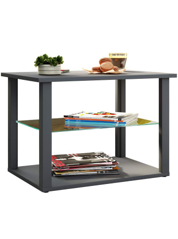 Holz Sofatisch Couchtisch Glas Tisch Wanilo M in Anthrazit