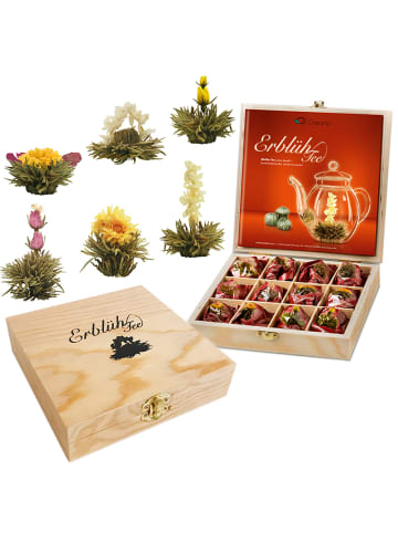 2er Set 12er Holzpräsentboxen ErblühTee Grüner + Weißer Tee 