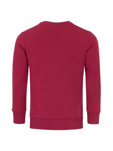Pullover WYATT in Bordeaux