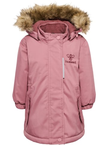 Reißverschluss Jacke Hmlpenni Mädchen in NOSTALGIA ROSE