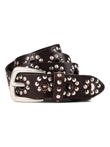 Nietengürtel Leder dark brown