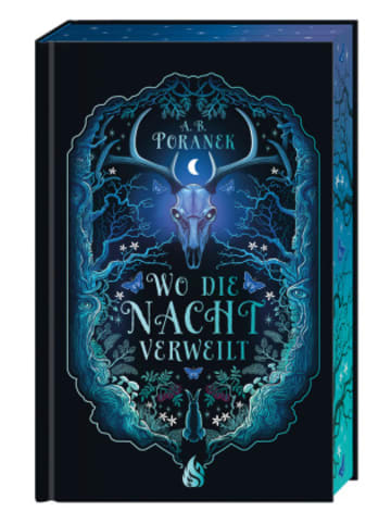 Buch - Wo die Nacht verweilt