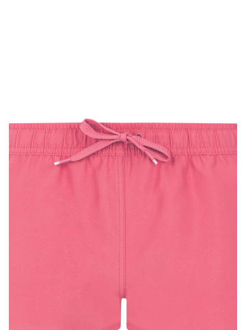" PRTEvi in Guava Pink