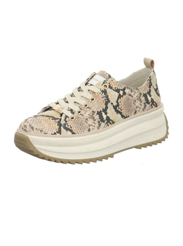 Plateau Sneaker in Beige