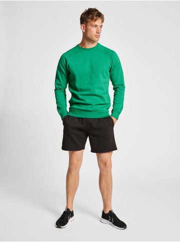 Sweatshirt Raglanärmel Hmlred Herren in JELLY BEAN