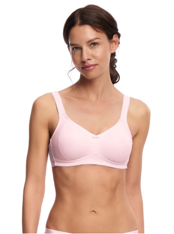 Minimizer BH ohne Bügel Milano in ROSE