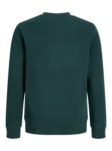 Sweatshirt Rundhals Locker geschnitten JJESOHO in scarab