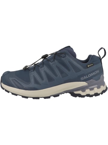 Laufschuhe XA PRO 3D V9 GTX in dunkelblau