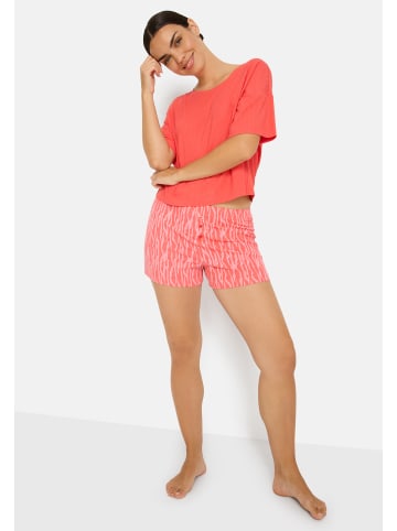 Shorty in coralle