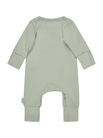 Baby Spieler Bär in puder green