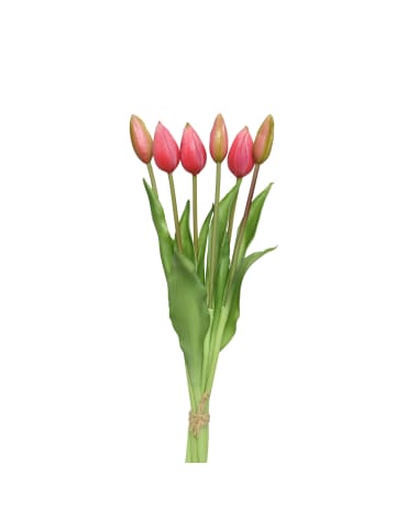 Tulpenbund mit 6 Blüten in rosa - H: 40cm