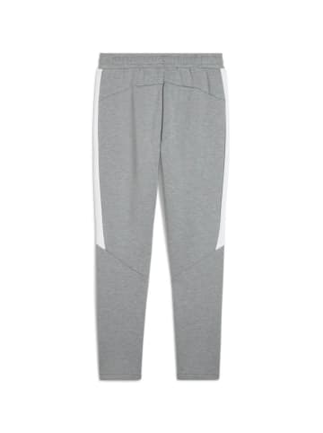 Sporthose 'teamEVOSTRIPE' in grau