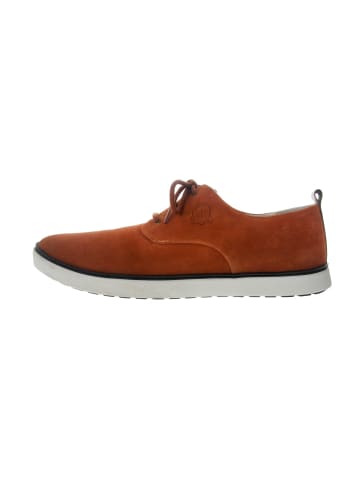 Halbschuhe  in Braun