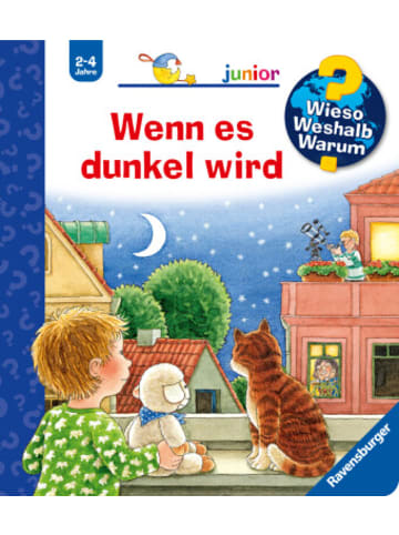 Buch - Wieso? Weshalb? Warum? junior, Band 28 - Wenn es dunkel wird