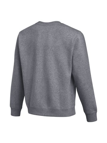 Sweatshirt in Grau