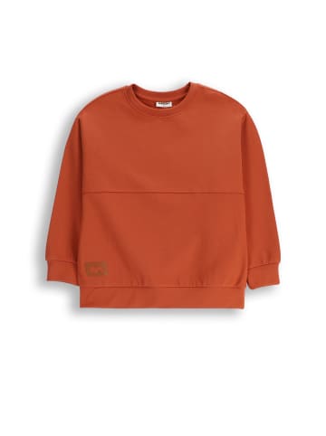 Sweatshirt ohne Reißverschluss in honiggelb