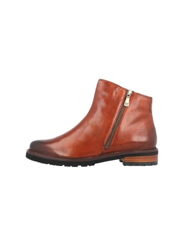Stiefeletten in Braun