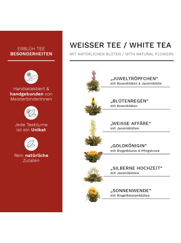 Tee 7tlg. Set: 6 Teeblumen "ErblühTee Weißer Tee" + 1 Teekanne 500ml