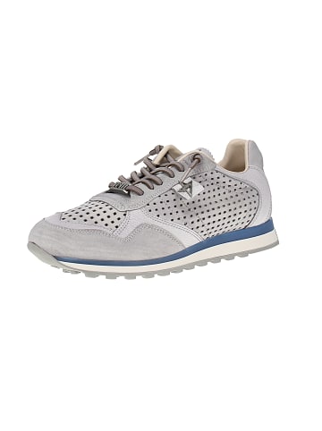 Sneaker low C-848 V25-26 in Grau