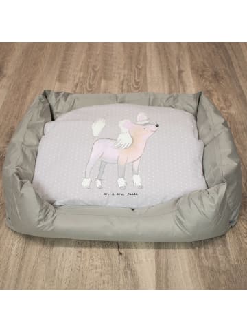 Hundebett Chinesischer Schopfhund Lebensretter ... in Grau Pastell