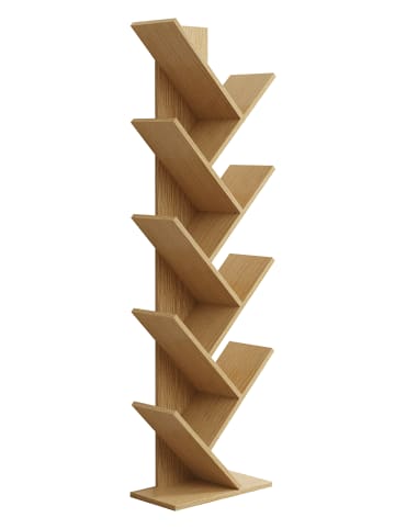 Holz Aufbewahrung Stand Regal Bücher Nulis XL in Honig-Eiche