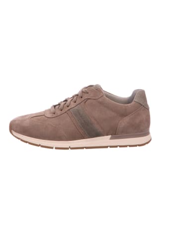 Sneaker Low in beige