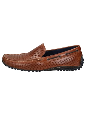 Slipper Carulio-706 in braun