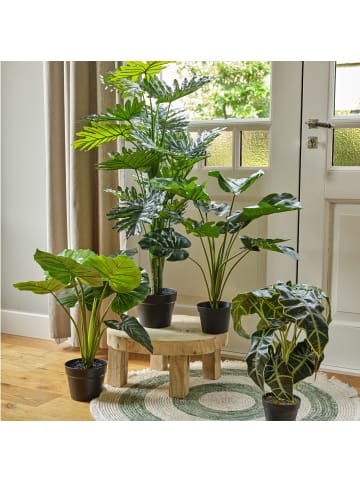 Künstliche Taro Pflanze im Topf Kunstpflanze H: 52cm in grün