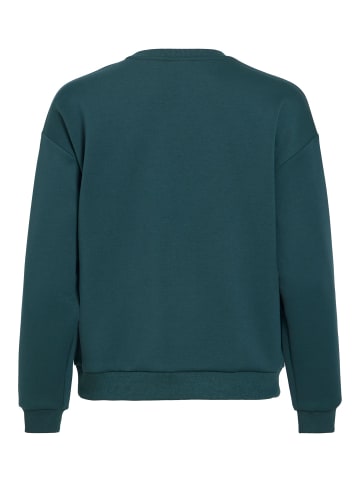 Sweatshirt in Ponderosa Pine1