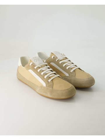 Sneaker low in Beige