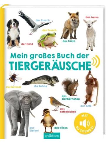 Buch - Mein großes Buch der Tiergeräusche