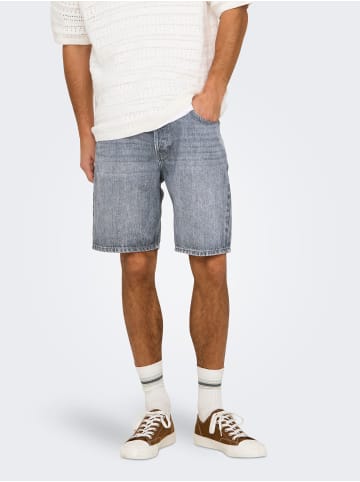 Jeansshorts mit fünf Taschen und Knopfverschluss in Hellgrau